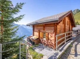 Chalet Collini