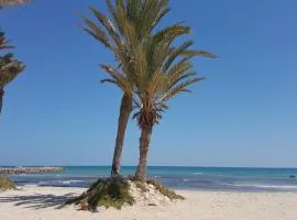 Ltifi Villas Djerba