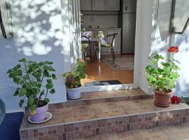 Comaniciu Sorin，位于弗格拉什的乡村别墅