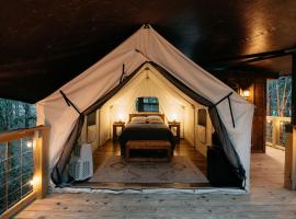 Treehouse Cozy Glamping Site，位于布兰森的豪华帐篷营地