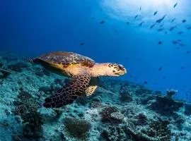 MEHEL - Holiday Home - Mahibadhoo