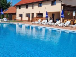 Cusali Pensiune，位于Topolovăţu Mare的酒店