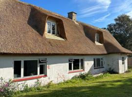 Sommerhus in grüner Natur，位于纳克斯考的酒店