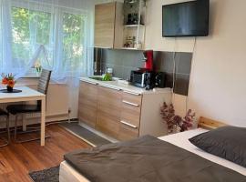 Apartment (2) am Stuttgarter Flughafen / Messe，位于莱因费尔登-埃希特尔丁根的带停车场的酒店