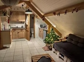 Appartement douillet avec vue sur les montagnes