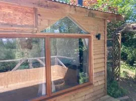 Honey Bee Cabin