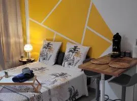 Ibis Studio