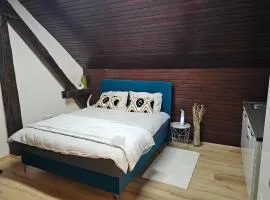 Soba 7 Pekrska vila