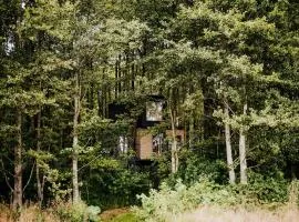 Dziki Las - domki na drzewach