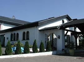 Hotel Angelini，位于瓦登的酒店