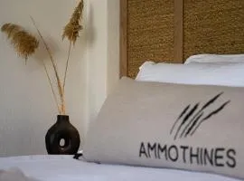 Ammothines Beach Suites