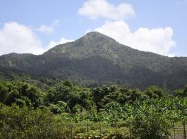 O Logis du Morne Jacob "CITRON", Le Morne-Rouge Martinique，位于Le Morne Rouge的酒店