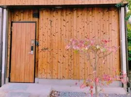 LILY's House