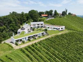 RELAX APARTMENTS An der Lage Hochgraßnitzberg，位于施皮尔费尔德的酒店