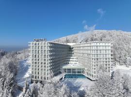 Crystal Mountain Hotel Wisła，位于维斯瓦的酒店