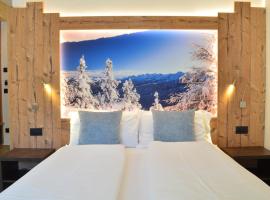 Aria Alpina Guest House Affittacamere，位于普雷达佐的酒店