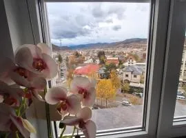 Panoramic Central Apartment