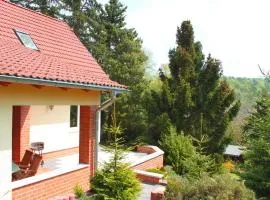 Ferienhaus Harzblick