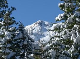 Big John at Alpine Meadows by Tahoe Getaways - Mountain Views, Cozy Fireplace, Shuttle to Slopes!，位于阿尔卑斯山草甸的酒店