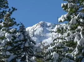 Big John at Alpine Meadows by Tahoe Getaways - Mountain Views, Cozy Fireplace, Shuttle to Slopes!