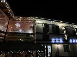 Pensiunea Alexia，位于彼得罗沙尼的酒店