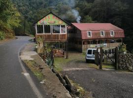 MTIRALA HOTEL ZIPO，位于Ch'ak'vist'avi的酒店
