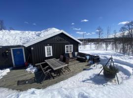 Beautiful Cabin close to Hemsedal，位于海姆瑟达尔的酒店