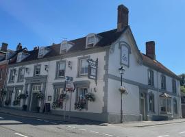 The Swan Hotel, Alresford，位于温彻斯特的酒店