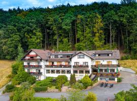 Gasthof-Hotel Lärmfeuer，位于Rohrbach的酒店