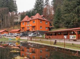 Vila Bradul，位于红湖的家庭/亲子酒店