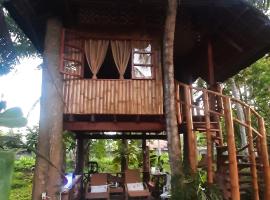 Dumaguete Oasis Treehouse，位于杜马格特的乡间豪华旅馆