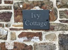 Elegant and secluded 1-Bed Cottage near Bideford