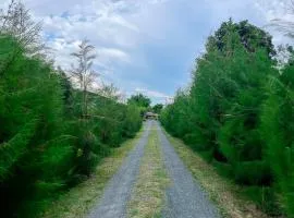 North Pine Forest Homestay บ้านไม้สนโฮมสเตย์