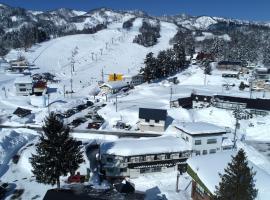 White Lodge Fukujuso，位于饭山市的山林小屋