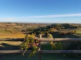 Cantina Visconti - Agriturismo