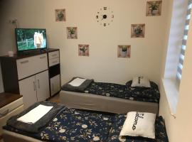 Kris Apartment，位于Kajetany的酒店
