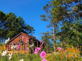 Romantic house 2 on a pine hill Dalat，位于大叻的木屋