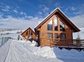 Winter & Summer - Chalets，位于兹蒂尔的山林小屋