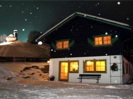 Alpen Chalet ELLMAU Zentrum，位于埃尔毛的酒店