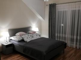 Apartament Olszynowy Gaj 4，位于克拉科夫的公寓