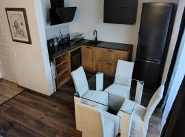 Suur-Aia 21 Apartment，位于派德的住宿