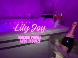 Maison avec Jacuzzi - Louvres proche Roissy CDG - Paris