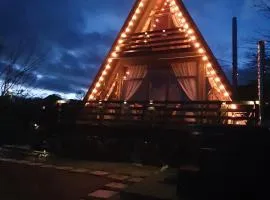 Cabana Apuseni Forest