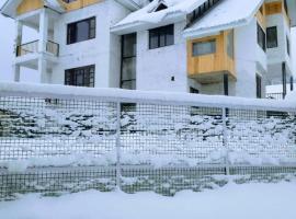 Sarwa Cottage JAMMU AND KASHMIR，位于Tangmarg的酒店