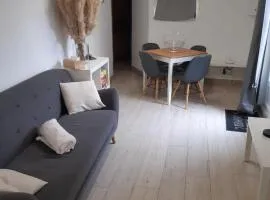 Charmante maison dans le Gers, proche lac et centre-ville