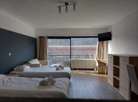Room in Studio - Value Stay Residence Mechelen - Executive Studio Double，位于梅赫伦的酒店