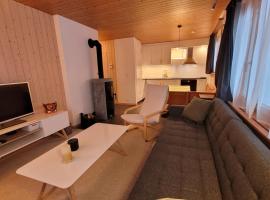 Chalet Meise，位于上盖斯特尔恩的酒店