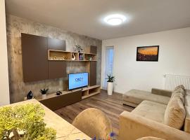 Deluxe Cozy Apartments - Coresi Mall #Brasov，位于布拉索夫的酒店