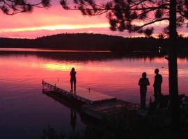 Peaceful lakeside cottage great for a staycation.，位于Dwight的酒店