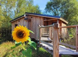 La Cabane d'Ode，位于Sainte-Ode的山林小屋